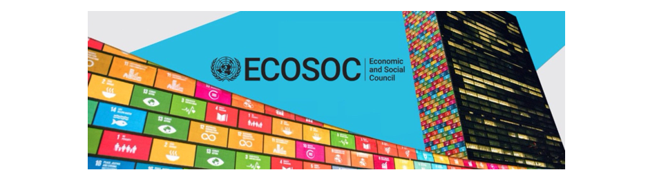 Special meeting of ECOSOC on the future of work: towards a productive, inclusive and sustainable society