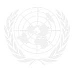 Fifth Global Expert Forum for Producers and Users of Disaster-related Statistics   /   Quinto Foro Global de Expertos Productores y Usuarios de Estadísticas Relacionadas con Desastres