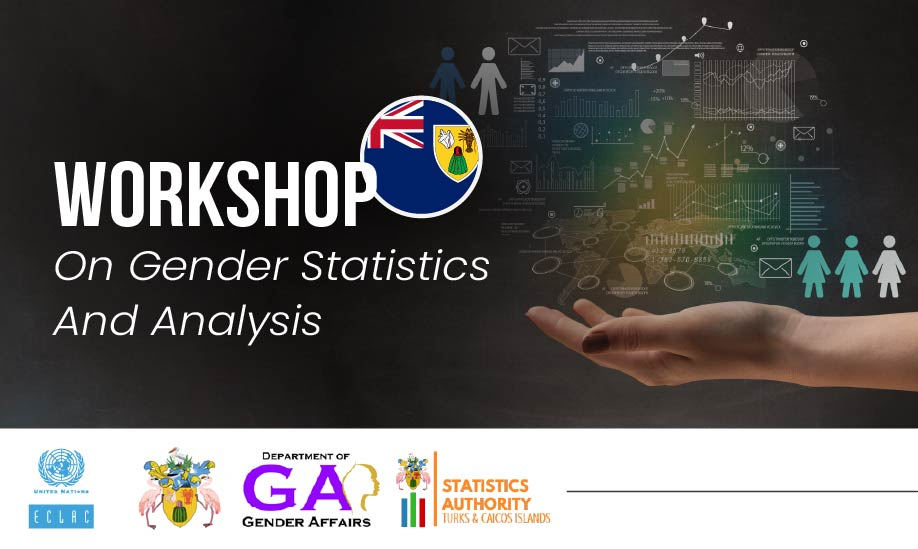 Workshop on Gender Statistics and Analysis - Turks and Caicos Islands