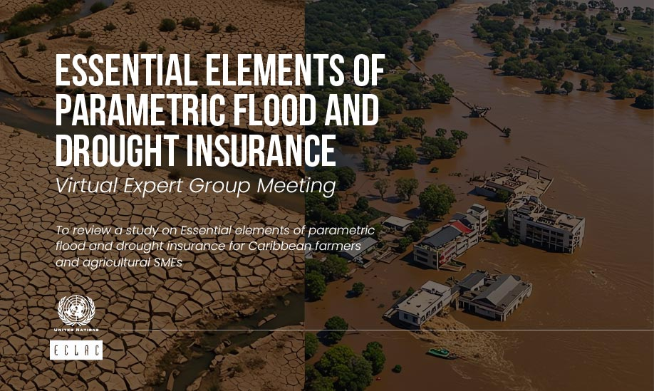 Virtual Expert Group Meeting to Review Essential elements of parametric flood and drought insurance for Caribbean farmers and agricultural SMEs