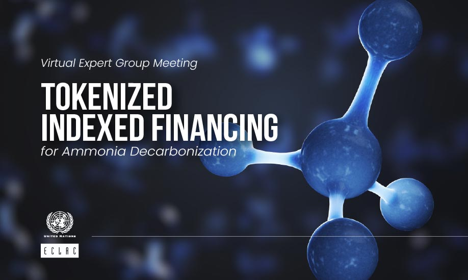 Virtual Expert Group Meeting to Review Tokenized Indexed Financing for Ammonia Decarbonization