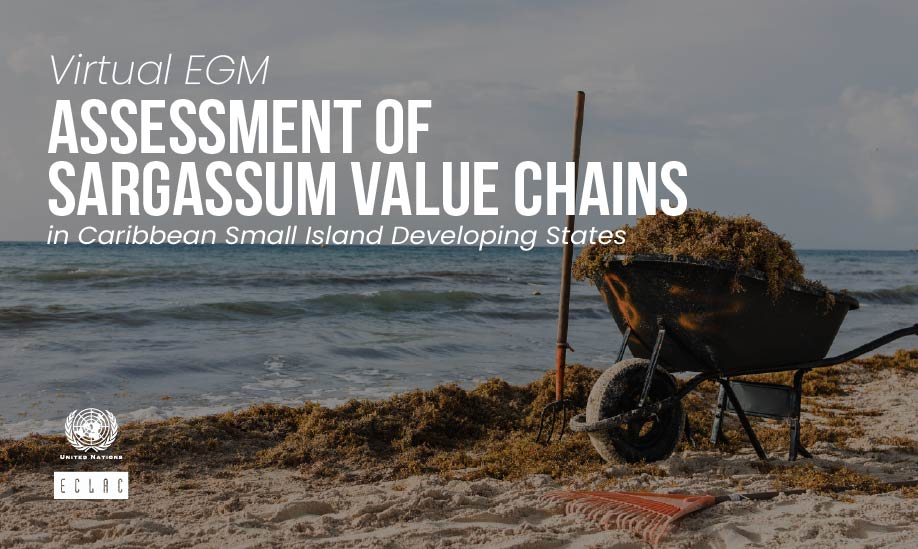Virtual Expert Group Meeting on the Assessment of sargassum value chains in Caribbean Small Island Developing States